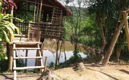 Sitio do Batatinha