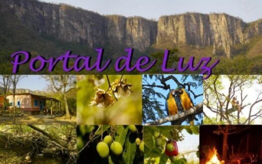Portal de Luz Chapada dos Veadeiros